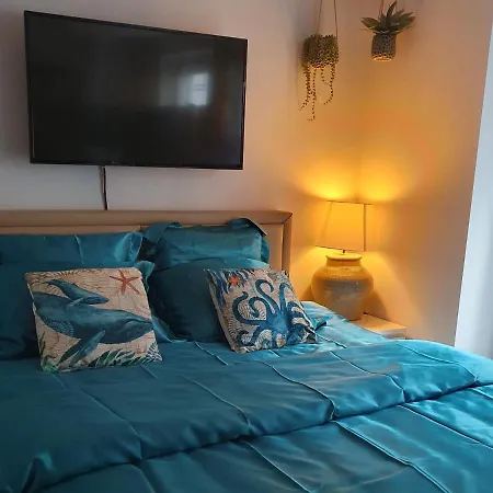 Premium * 블랑켄베르크